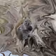 59563731760659869762882792571146247694886243400165364824631190540165524226049