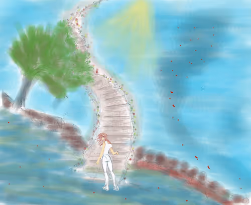 Dadadidoudou Collection