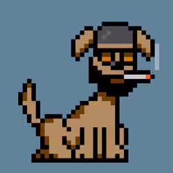 PunkDog #6600