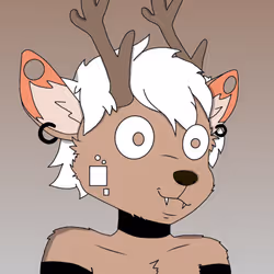 30016579514841798280272942481353484762685851957115112550778021232493325189121