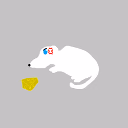 Ratku #48