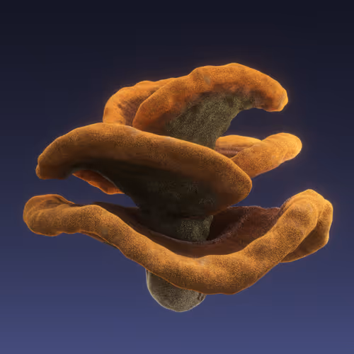 Item #95653877050150474555742155054455970472164202465768371638498214006370439528449 Media