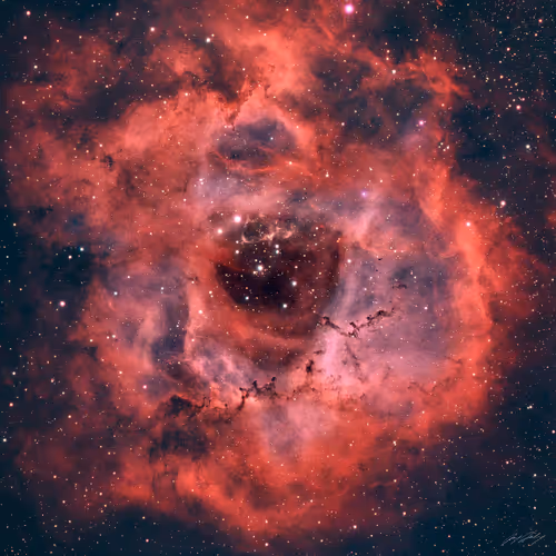 Item #5616953568499340907775711825497604278044637464082209410752742935217949376513 Media