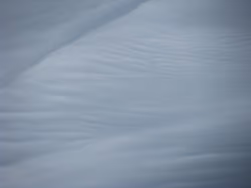 Item #52976950402654845118346719408738568385707735523303187800578383949900271321089 Media