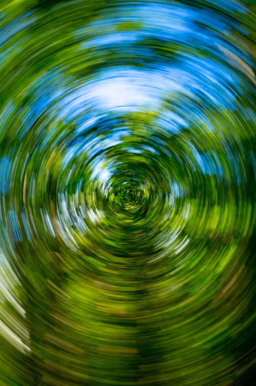 Item #9566349108743429006839101100921653396136012468553527091874592556897265516545 Media