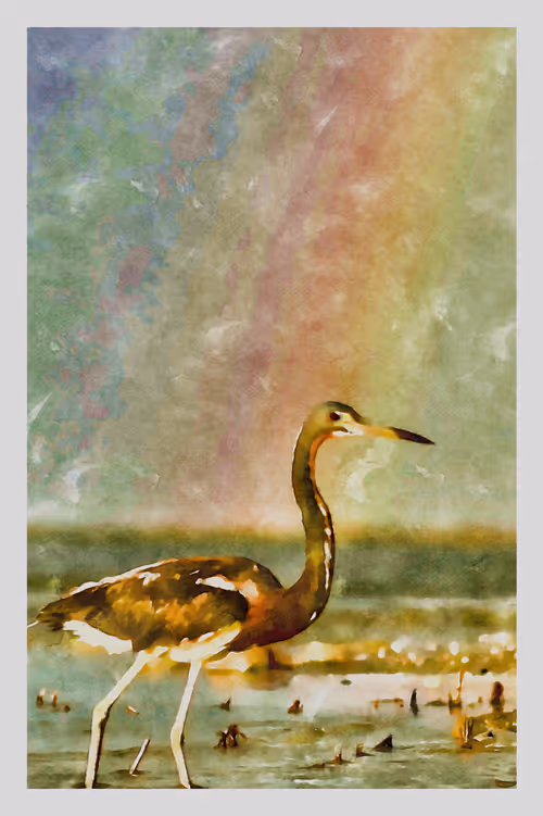 Item #55704534837685659622621715309832868758345944585427688586690141442152134082561 Media