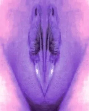 NSFW Kollection