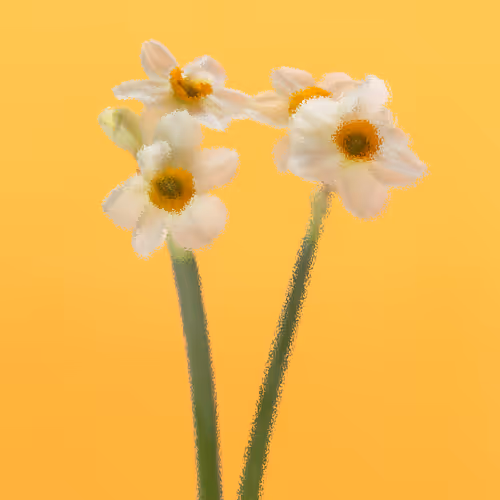 Postcard #44