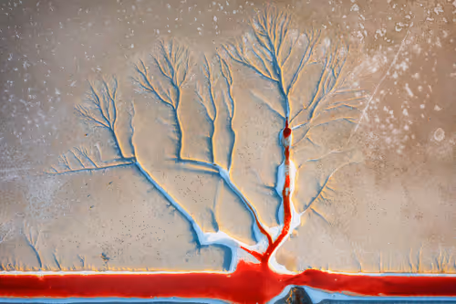 Item #108025279282686658453897007890629891637526310304717906993258638204047619784758 Media