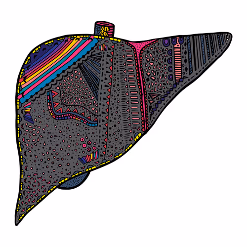 Theanatomicalproject