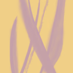 Color #11