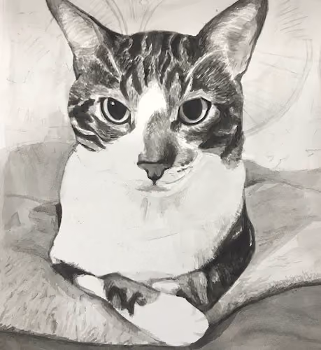 Cat Illustration #3