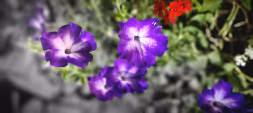 Item #48940607901015920857645731897372501433475151801314918202726248082282343563265 Media