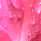 76119199502361490748177380145140709372028666581127486374380360692050574704641