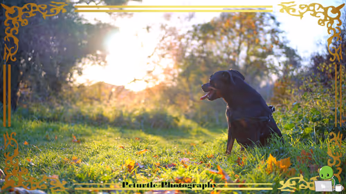 Item #63688176006920298669738405398310368792609774011425620877012058002247680786433 Media