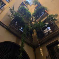 off la rambla