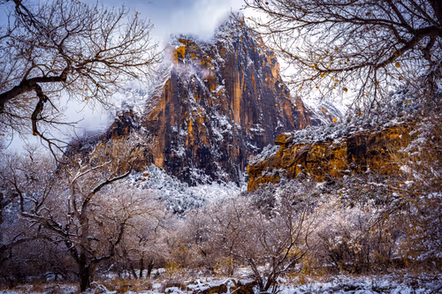 Item #4777953153526599569062198925190878774289520256553367647462911602716749856769 Media