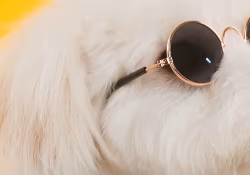 Untitled Collection #1696201