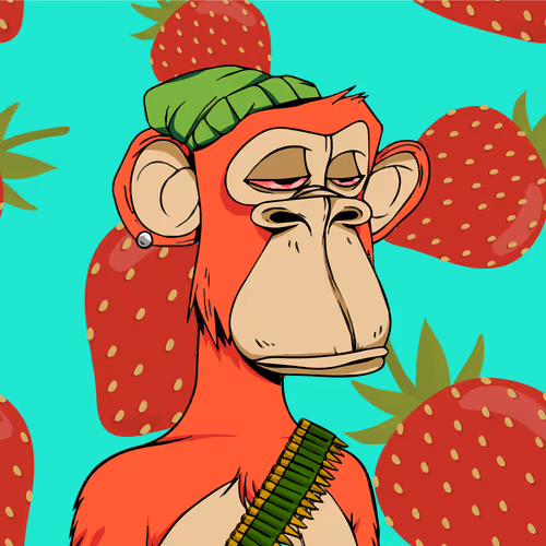 52957331311887035027473807432644748246502873594021011677625264031117978107905