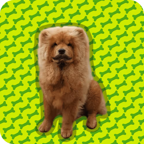 Item #18069411133127541891764540209837632150727605560921678338142275892911487844353 Media