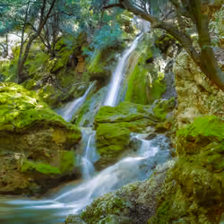Cascadas del Salt des Freu