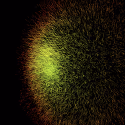 Gravitys Force