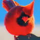 52976585824733197085867802833360405733364926113811626669856085496205651476481