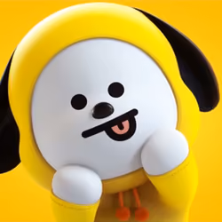 Cute little white dog