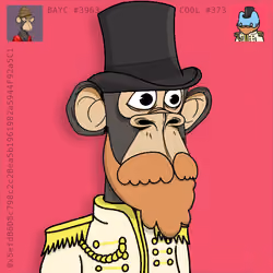 Apecat #2