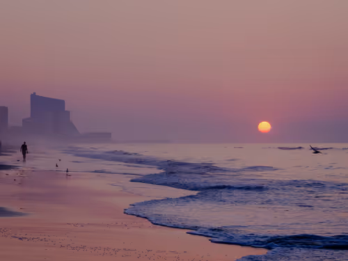 Item #38331059685891119869213695594671388264975968416503171140268943328099692445701 Media