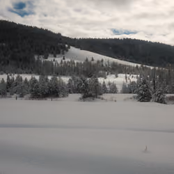 Fresh pow