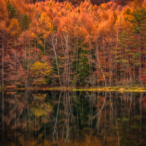 秋の鏡 -Mirror in Autumn-