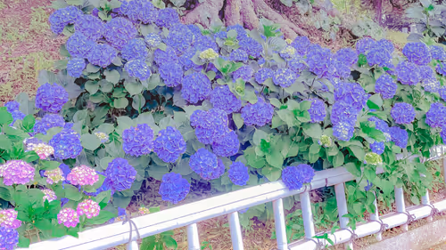 Item #26309083901545567454709889211670292098627789932924015051489478927289587597317 Media