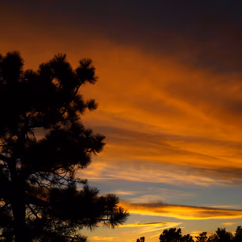 The Golden Hours