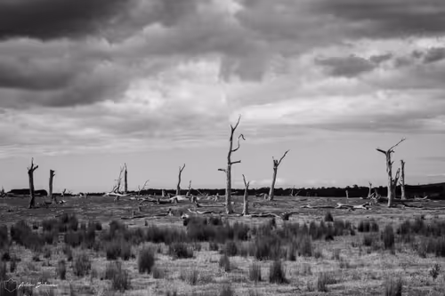 Item #4468298363639779410532789010720251327822800533817543307032898263620568219649 Media