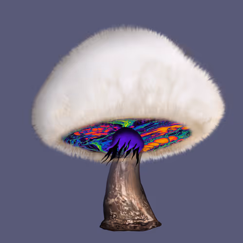 Item #46034849265832991985054005845495595569977159826723230396281255744886445965313 Media