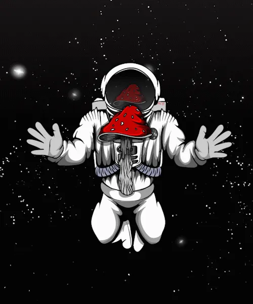 Item #57941255445620779425959250038654691890070187567565923896778048156173363838977 Media