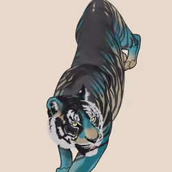 Blacktiger_mint