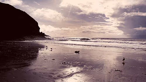 Item #82527419430776432677609198489525539692500095051269265648102109238625960984577 Media