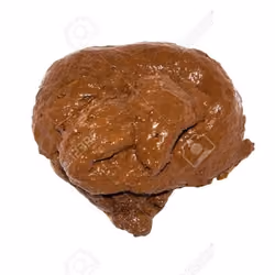 Shit #1