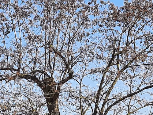 Item #13665938074563914331498291329920780757136253607588816979915017126579506511873 Media