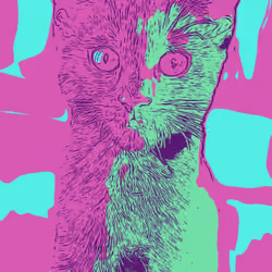 Trippy Cat #4