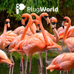 Midsummer In PlugWorld