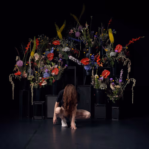 Item #29225512278462627521798648337765154625875213490195303772458487982348946112513 Media