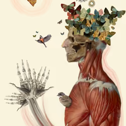 Under the Skin