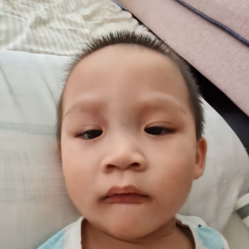 Item #68446747481567112358686483543775619263054387806221287465842537975864436457473 Media