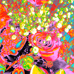 10162537437224382031479019658551907585229278444242708151782220054920511356929