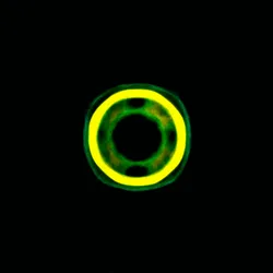 51929734946411346289540790635765095060363125039145709683616697024316310552577