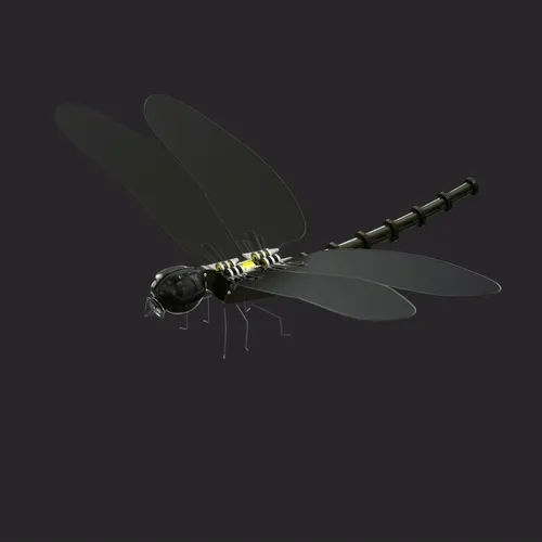OBTI BOT DF #014