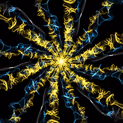 Pristine Fractal #16